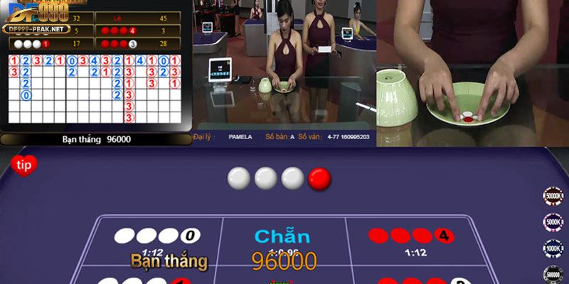cach-soi-cau-xoc-dia-duoc-dan-choi-tin-dung