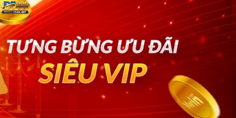 cau-lac-bo-vip-df999-noi-hoi-tu-cao-thu-ca-cuoc