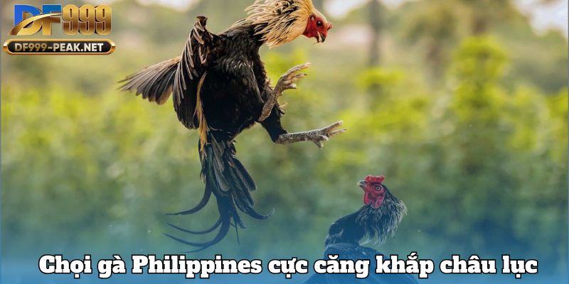 choi-ga-philippines-cuc-cang-khap-chau-luc
