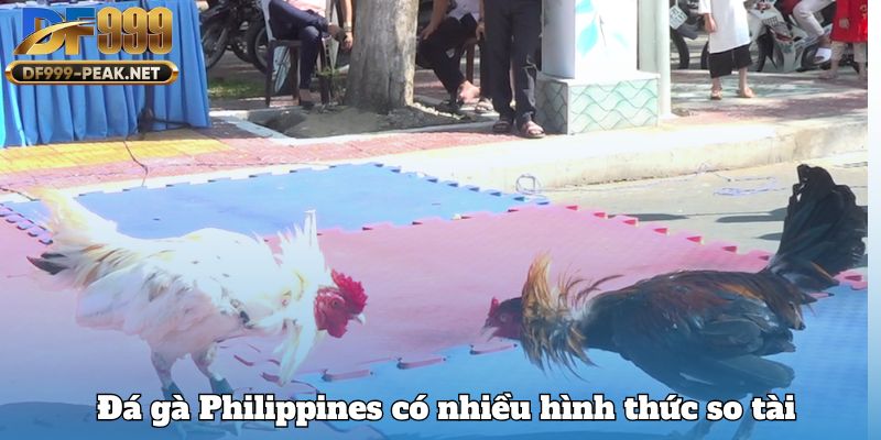 da-ga-philippines-co-nhieu-hinh-thuc-so-tai