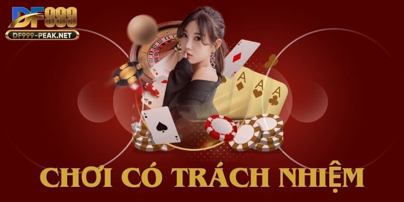 diem-qua-nhung-net-noi-bat-ve-chinh-sach-choi-trach-nhiem-df999