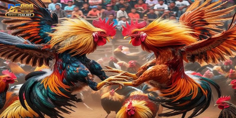 truc-tiep-da-ga-c1-hinh-anh-chat-luong-am-thanh-dinh-cao