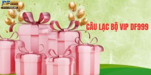 cau-lac-bo-vip-df999