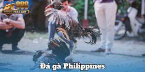da-ga-philippines